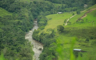 Ecoturismo, la apuesta para frenar la deforestación en Caquetá