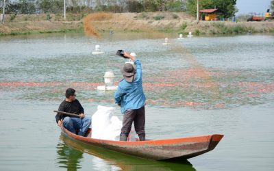 Certificación de granja biosegura en el proyecto Piscicultura del Común: Sello de calidad y seguridad