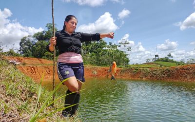 Entre redes y estanques: Mujeres que transforman la piscicultura